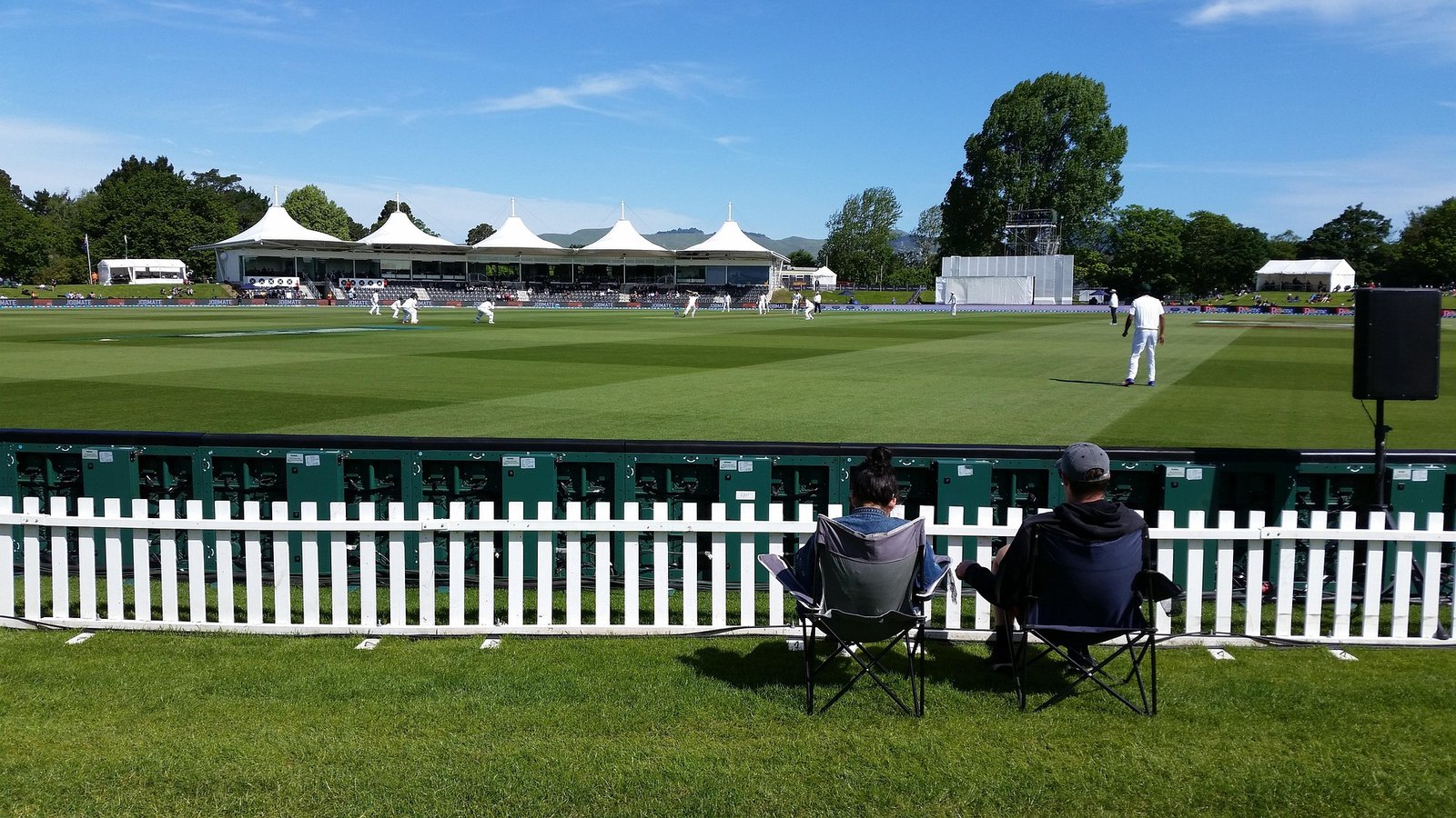 sbj04769 cricket 2511043 1920